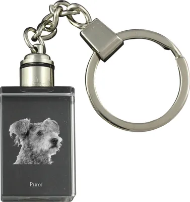 Imagen del producto de Pumi, Pumi húngaro llavero de cristal con perro Art-Dog