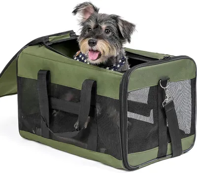 Immagine prodotto di Trasportino per cani - Borsa da viaggio per gatti - Viaggio sicuro - Design pieghevole - 51 x 31 x 31 cm - Verde