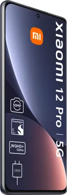 Produktbild von XIAOMI 12 Pro 5G 12+256GB grau