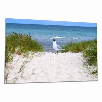 Produktbild von Wallario Herdabdeckplatte aus Glas, Größe 80 x 52 cm 2-teilig, Motiv Möwe auf der Düne