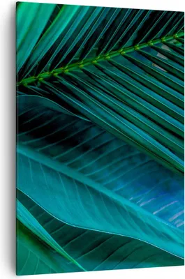 Produktbild von Bild auf Leinwand - Leinwandbild - Einteilig - Blatt Tropen Grün - 70x100cm - Wand Bild - Wanddeko - Wandbilder - Leinwanddruck - Wanddekoration - Leinwand bilder - Wandbild - PA70x100-5071