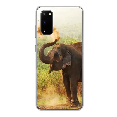 Produktbild von MuchoWow® Handyhülle Schutzhülle Hülle für Samsung Galaxy S20 Elefant - Tiere - Wald - Bäume Silikon Softcase Handy Hülle - Bild