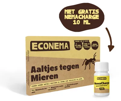 Productafbeelding van Econema Aaltjes tegen mieren – mieren bestrijden bij het nest – 20 m²