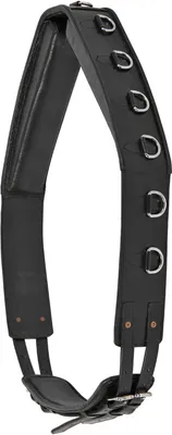 Produktbild von Waldhausen Longiergurt Leder Schwarz WB