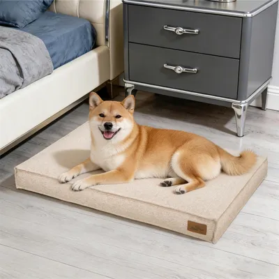 Image de WISFOR Lit pour chien, canapé pour chien, coussin pour chien, antidérapant, housse amovible et lavable, L : 88,5 x 59,5 x 10 cm, kaki