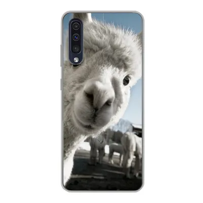 Produktbild von MuchoWow® Handyhülle Schutzhülle Hülle für Samsung Galaxy A30s Alpaka - Weiß - Tier Silikon Softcase Handy Hülle - Karteninhaber