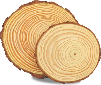 Produktbild von Holzscheiben mini rund ø5-6cm Stärke 0,5cm