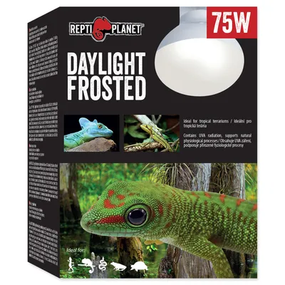 Zdjęcie produktu dla Repti Planet 007-41023, 75 W, 1 szt., Pudełko