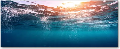 Produktbild von Tulup® Glas-Bild Wandbild aus Glas - 125x50 - Wandkunst - Wandbild hinter gehärtetem Sicherheitsglas - Dekorative Wand für Küche & Wohnzimmer - Landschaften - Unterwasserwelt - Blau