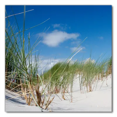 Produktbild von Wallario selbstklebende Möbelfolie/ Tischdecke für Innen und Außen, Größe: 70 x 70 cm - Düne am Strand unter blauem Himmel