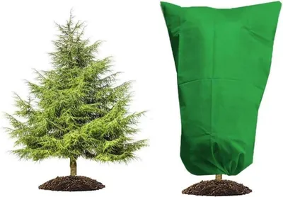Zdjęcie produktu dla HERILIOS Osłona przeciwzimowa do roślin 60X80cm Zielona