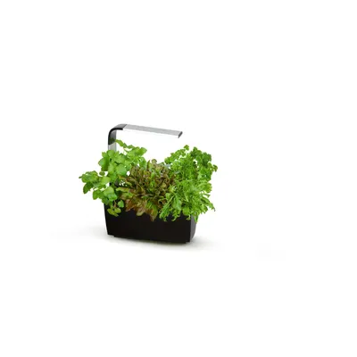 Zdjęcie produktu dla Tegren T6 Kitchen Garden złoty złoty jeden rozmiar