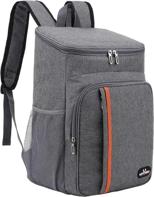 Produktbild von Famanu Kühlrucksack 28L - Grau, isoliert, multifunktional