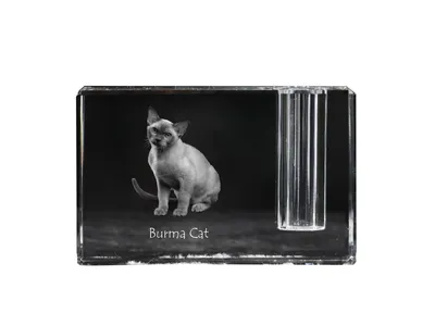 Immagine prodotto di Gatto birmano portapenne in cristallo con gatto Art-Dog