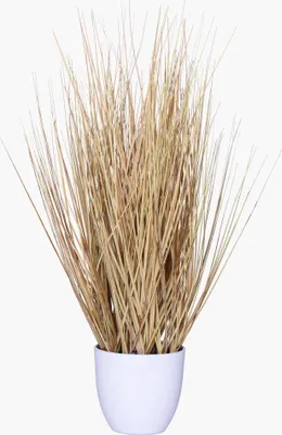 Immagine prodotto di Pianta artificiale BOHO in plastica effetto naturale 30x54 cm
