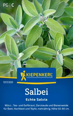 Produktbild von Kiepenkerl Salbeisamen Echte Salvia 50 Pflanzen