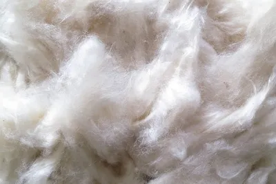 Produktbild von Füllwatte aus 100 % Kapok Watte, beige, 1 kg, sehr fein