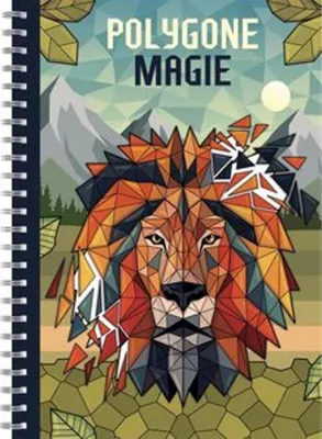Produktbild von Polygone Magie