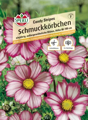 Produktbild von Sperli Saatgut Schmuckkörbchen Candy Stripes für ca. 30 Pflanzen