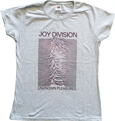 Produktbild von Joy Division Space Lady Heather Grey M Damen T-Shirt