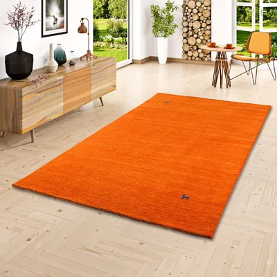 Produktbild von Natur Teppich Indo Nepal Gabbeh Shiva Terrakotta, Größe:300x400 cm