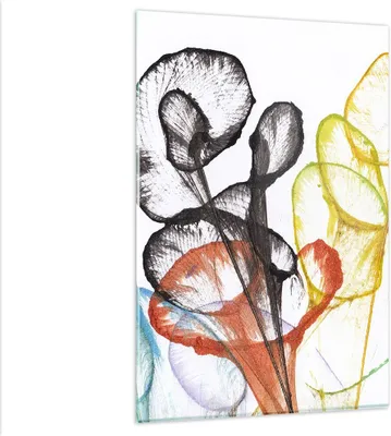 Produktbild von Bilder auf glas - Einteilig - Blumen Abstraktion Surrealismus - 80x120cm - Glasbilder - Wandbilder - Bilder - Wanddekoration aus Glas - Glas Bilder - Wandbild auf Glas - GPA80x120-4444