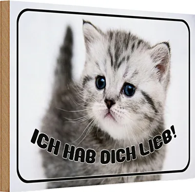 Produktbild von Holzschild Katze 30x20cm ich hab dich lieb