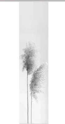 Produktbild von 80922 Schiebegardine IRLOS, Digitaldurck, Seidenoptik, 260x60 cm