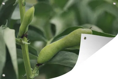 Produktbild von MuchoWow®