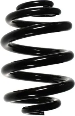 Image de Jeu de ressorts de suspension - Ressort hélicoïdal arrière Ø 176 mm SPIDAN pour divers véhicules