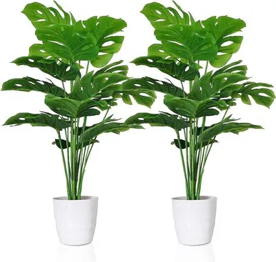 Obrázek produktu pro Umělé rostliny Monstera, sada 2 ks s bílými plastovými květináči, 70 cm, umělé tropické rostliny Monstera, zelené listy se stonky a květináči, umělé rostliny do domácnosti, kanceláře, na dekoraci