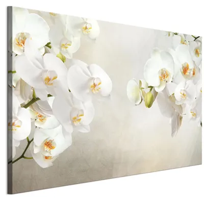 Image de LUMASOUL, tableau mural pour salon, impression sur toile, motif floral, 120x80 cm, tableau unique pour chambre, couloir, bureau et cuisine, motif photographique moderne