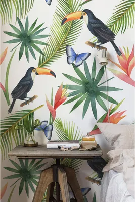 Produktbild von Coloray Fototapete 152x104 cm Latextapete Magicstick - Toucan Butterflyleavys.