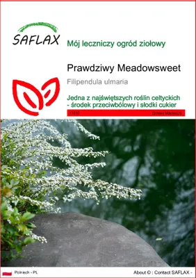 Zdjęcie produktu dla SAFLAX - Prawdziwy Meadowsweet - 500 Nasiona - Filipendula ulmaria