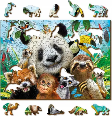 Zdjęcie produktu dla Drewniane puzzle 200-elementów