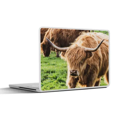 Produktbild von MuchoWow® Laptop Aufkleber Sticker Cover Schottischer Highlander - Sonne - Frühling 30x21 cm - Sticker für Laptop - Selbstklebend