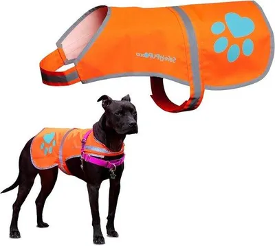 Produktbild von Hund reflektierende Weste - Hunde Sicherheitsshirt - Bessere Sichtbarkeit - Langlebiges Oxford Gewebe - Medium - Orange