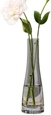 Immagine prodotto di Eleganti vasi in vetro per fiori piccoli - 1 pezzo - 21 cm