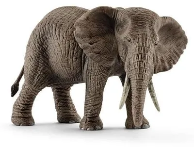 Produktbild von Figurine Afrikanischer Elefant (weiblich), Schleich 14761 Wild Life, Ab 5 Jahren