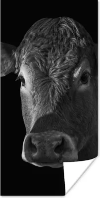 Produktbild von MuchoWow® Poster Kuh - Tiere - Schwarz - Weiß - Porträt 60x120 cm - Wandschmuck