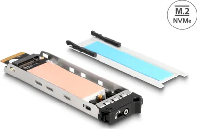 Image de DELOCK Wechselrahmen Einschub 1 x M.2 NMVe SSD