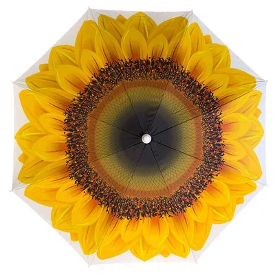 Produktbild von Sonnenschirm Sonnenblume 180 cm