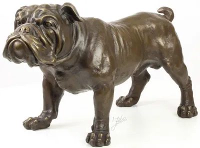 Produktbild von Casa Padrino Luxus Bronzefigur Englische Bulldogge Bronze 54,5 x 24,1 x H. 31 cm - Dekofigur