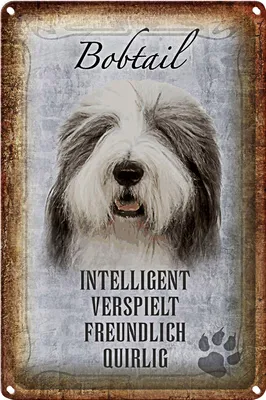 Produktbild von Blechschild Spruch 20x30cm Bobtail Hund verspielt