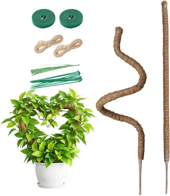 Immagine prodotto di Supporto per piante rampicanti Monstera, 2 pezzi, 100 cm di lunghezza, fibra di cocco con anima in alluminio