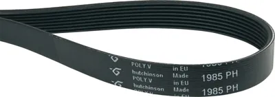 Produktbild von Hutchinson 1985 PH 8 Riemen Antriebsriemen Keilrippenriemen Rippenriemen Rippenbandriemen Wäschetrockner Trockner kompatibel wie LG Electronics 4400EL1001A