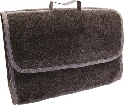 Obrázek produktu pro Carpoint Organizér do kufru, střední