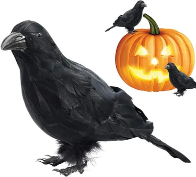 Immagine prodotto di Scultura di corvo - Uccello spettrale - Decorazione per il giardino - Design realistico - 30,48 x 10,92 cm - Nero