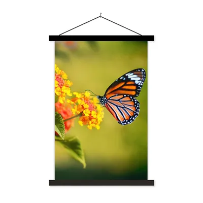 Produktbild von MuchoWow® Textilposter Schmetterling - Insekten - Blumen - Gelb 40x60 cm mit schwarzem Rahmen - Wanddekorationen