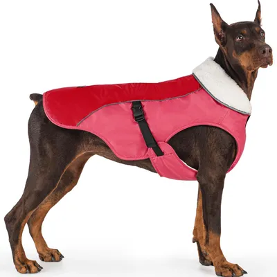Immagine prodotto di Cappotto per cani, antivento, riflettente e caldo, ideale per l'inverno, colore arancione, taglia S